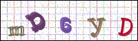 Image Verification